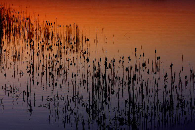 　　夕景