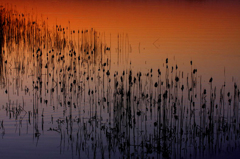 　　夕景