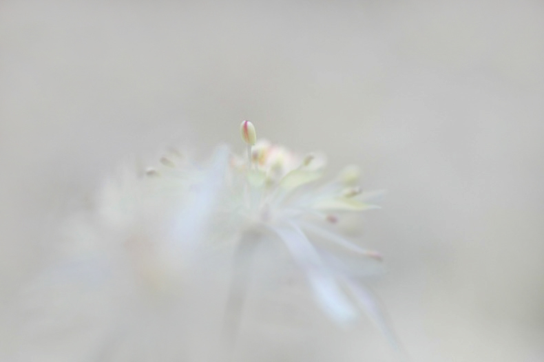 　　　望