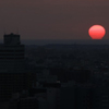 ダルマ夕陽