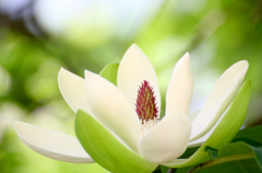 　　　爽やかな微笑み