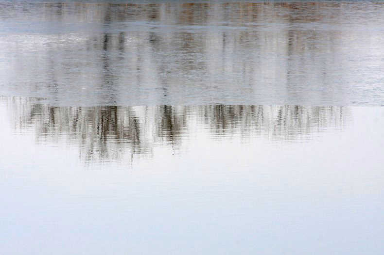　　　薄氷溶ける