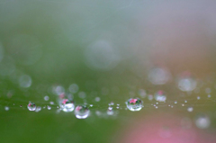 　　　雨の贈り物　　1