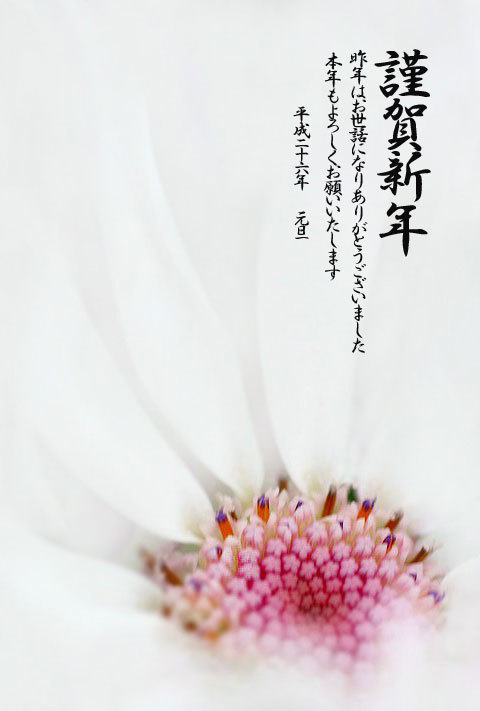 皆様への御挨拶