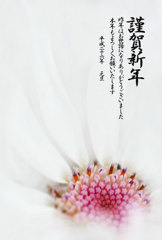 皆様への御挨拶