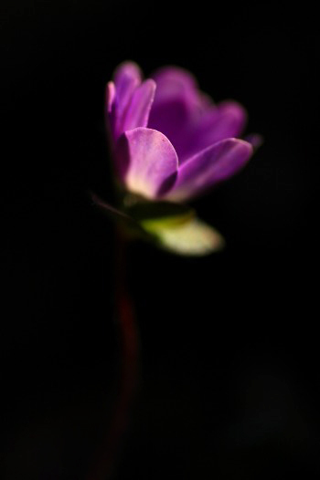 　　スポットライト