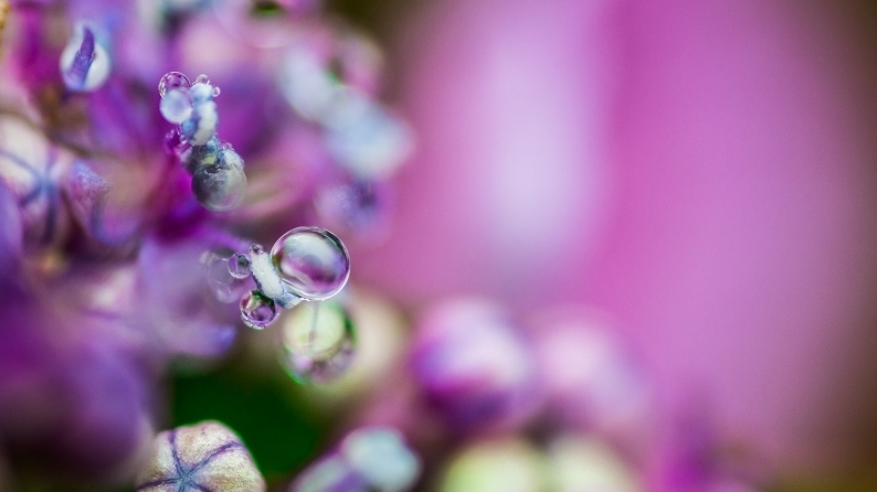 花雫　(8