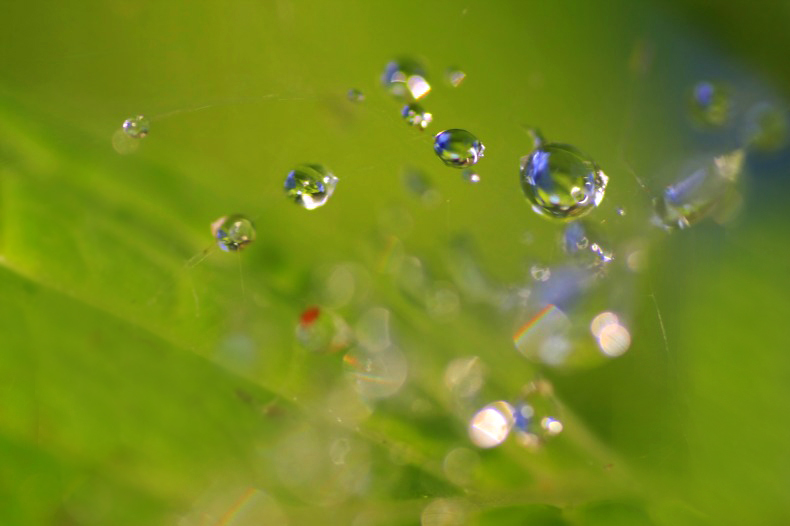 　　　雨の余韻