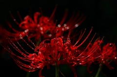 　　　小雨の後で　　1