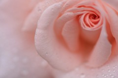 　　　心に沁みる雨