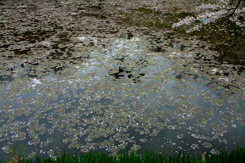 　　ラストステージ