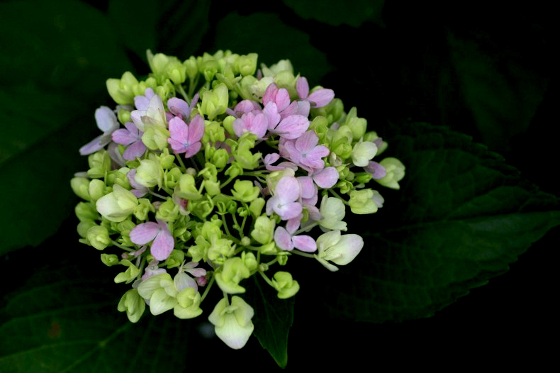 　　　スポットライト