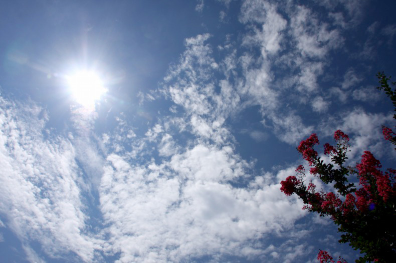 　　　あぢ～いぃ大陽