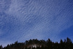 　　　冬空一面に