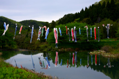 　　　五月の風物詩