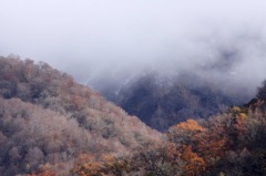 　　　秋瞬　　9