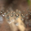 　　　雨の宝石