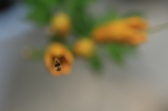 　　　シベ一点