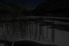 　　月夜の自然湖