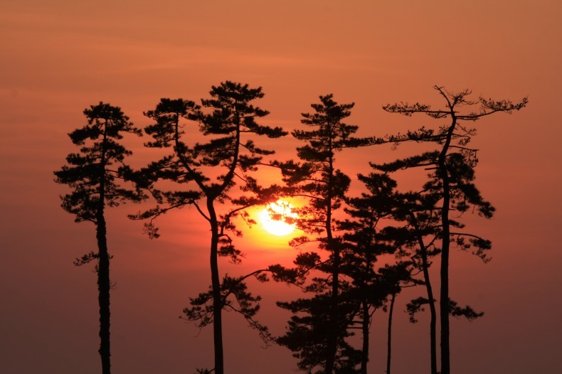 　　夕景