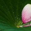 小雨あがる
