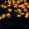 晩秋色模様　1