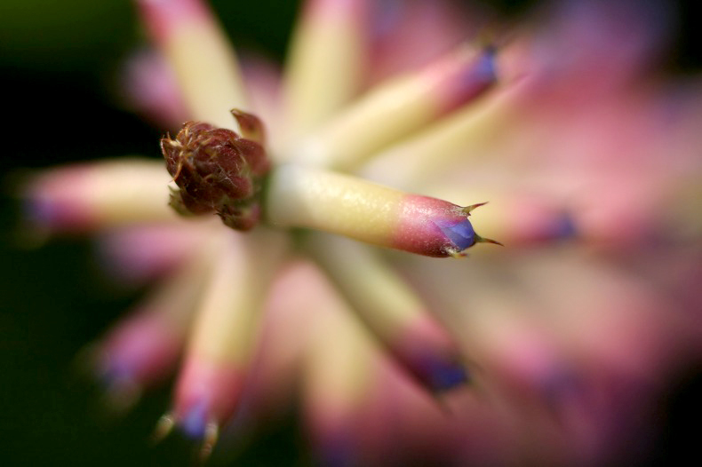 　　　華花　4