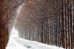 吹雪く
