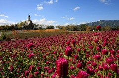 　　　花咲くチャペル