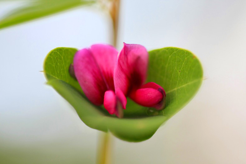 　　　狭いけど気持ちい～