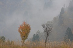 　　霧湧く