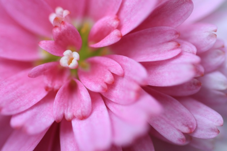 　　　やさしいめざめ