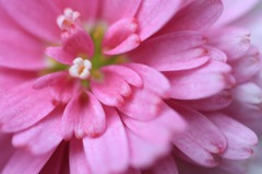 　　　やさしいめざめ