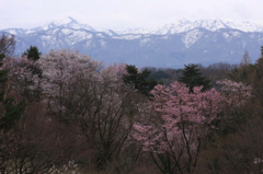 　　　雪残す春