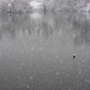 雪の音