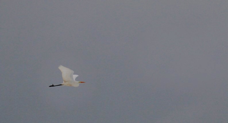 鉛色の空に