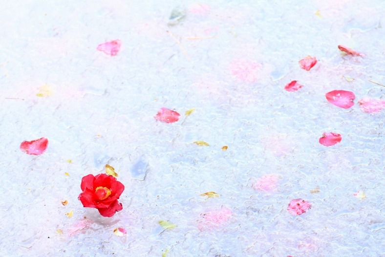 散花