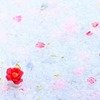 散花