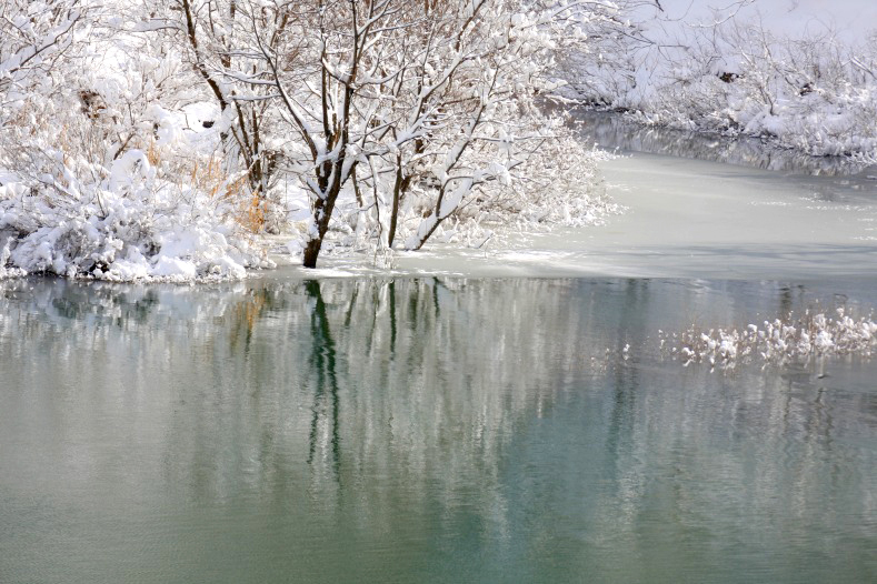 　　冬の湖