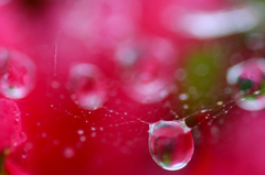 　　　雨雫　　4