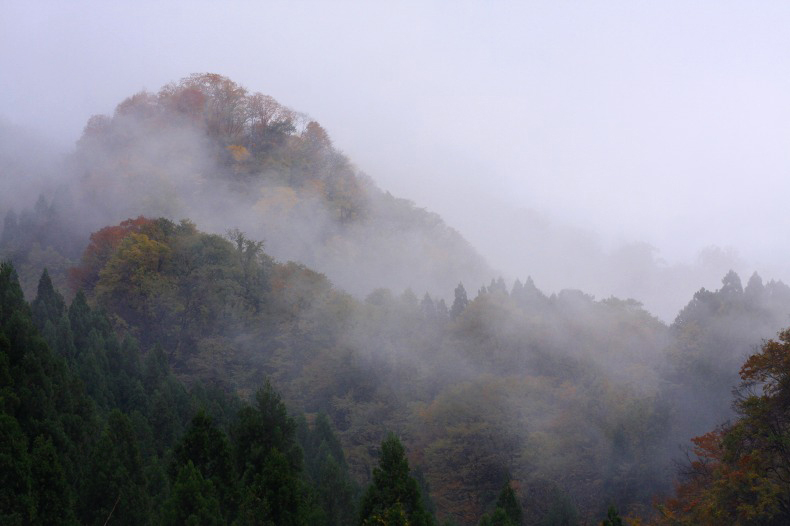 　　　秋雨に煙る