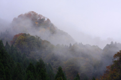 　　　秋雨に煙る