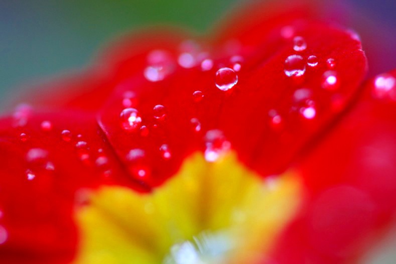 　　花雫　4 
