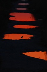 　　夕陽染めて