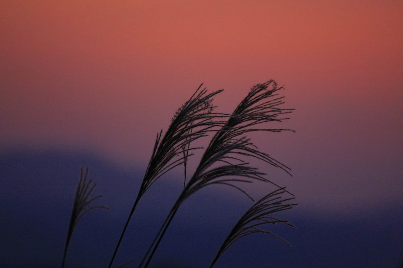 　　　夕焼け