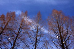 　　　冬空へ