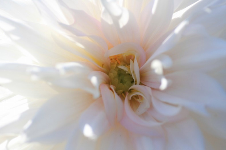 　　　やわらかな光に