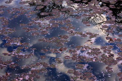 　　　花ちらし
