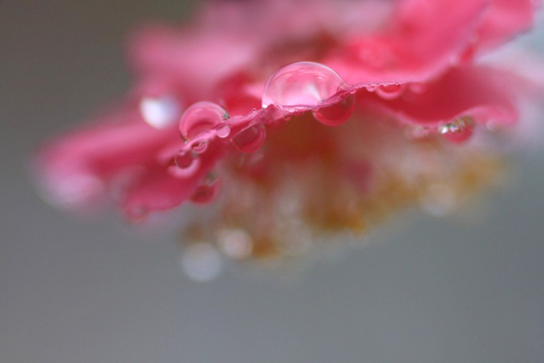 　　雨あがる