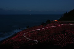 　　　光の海